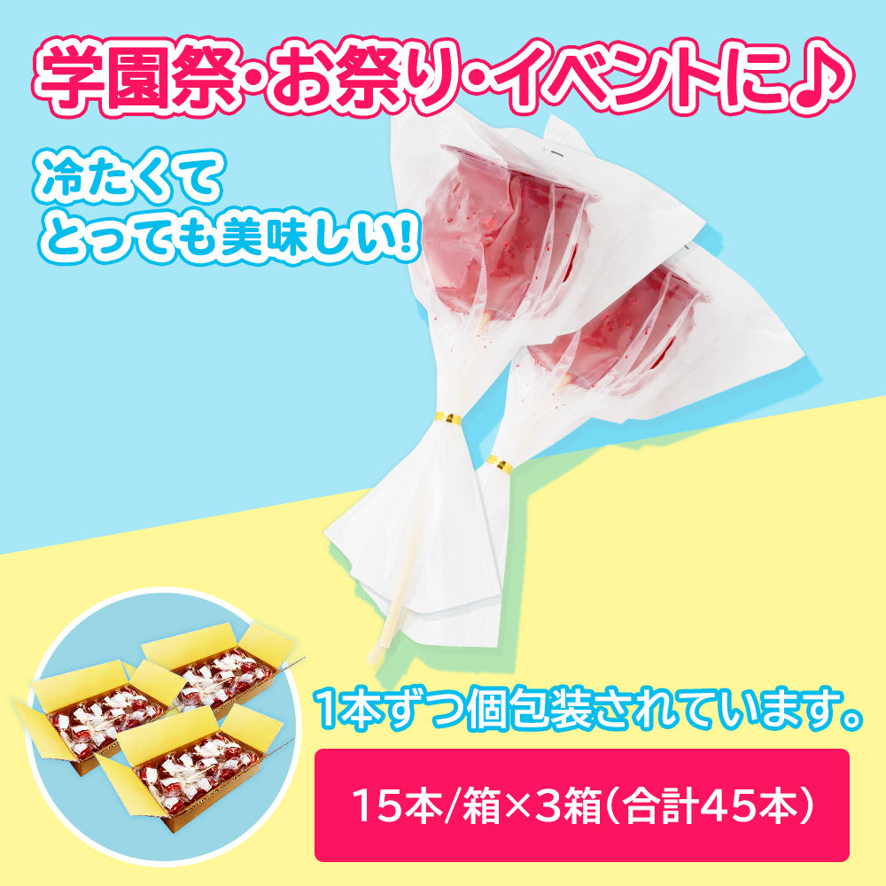 [お届日の確認必要] アイス りんご飴 / 合計45本（15本/3箱セット）